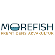 Morefish logo