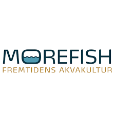 Morefish logo